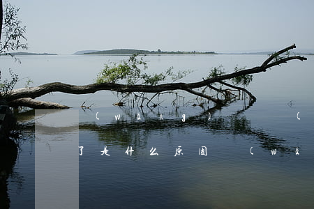 網(wǎng)貸還進(jìn)去不讓借了是什么原因，網(wǎng)貸還款后為何無(wú)法再借款？原因解析